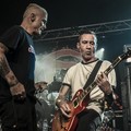 GutterPunk - Professional Concert Photography